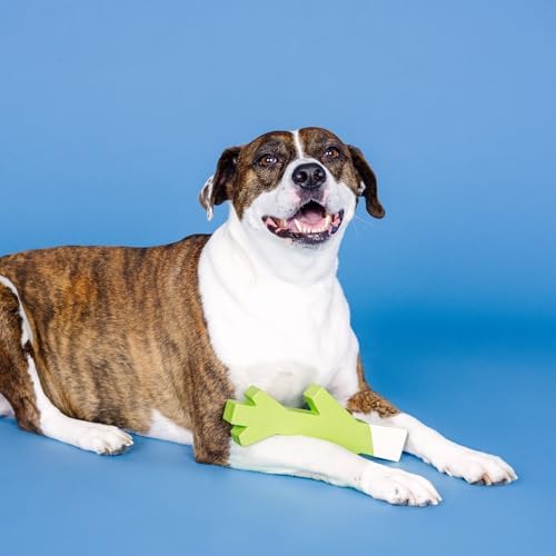 Fringe Studio Stick with ME Lime/White Rubber Dog Toy, Pet Shop Collection (518034)