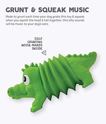 Outward Hound Accordionz Latex Rubber Squeaking Toy - Squeaky and Grunting Dog Toy, Alligator