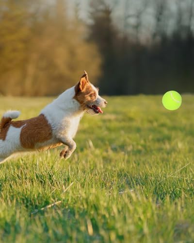 2Inch-Tennis Ball Throwing Refill for Automatic Ball Launcher, Interactive Dog Toys Pet Ball Suitable for Small Dogs Indoor Outdoor Thrower Machine(12PCS Tennis Balls only)