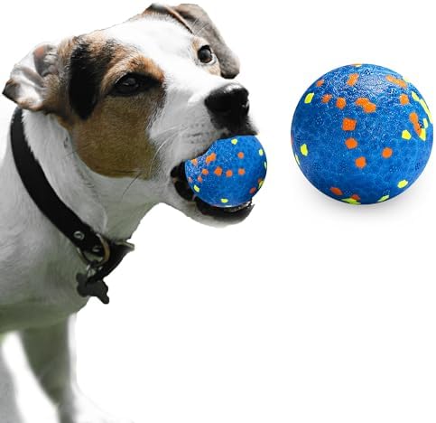Dog Balls, Indestructible Dog Toy Ball for Aggressive Chewers, Durable High Elasticity Interactive Ball for Training Dog Catch and Fetch, Large Medium Small Dog and Puppies(Blue, 2.5in, 1pcs)