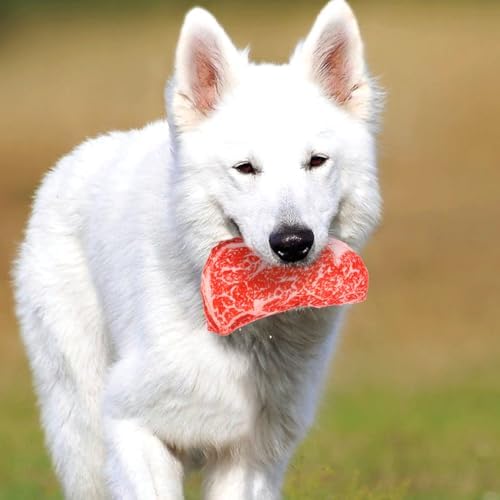 balacoo Simulated Steak Dog Chew Toy 9.05In Soft Oxford Cloth Squeaky
