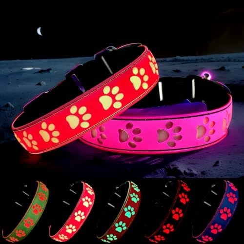 Personalized Light Up Dog Collar with Laser Engraved ID Tag