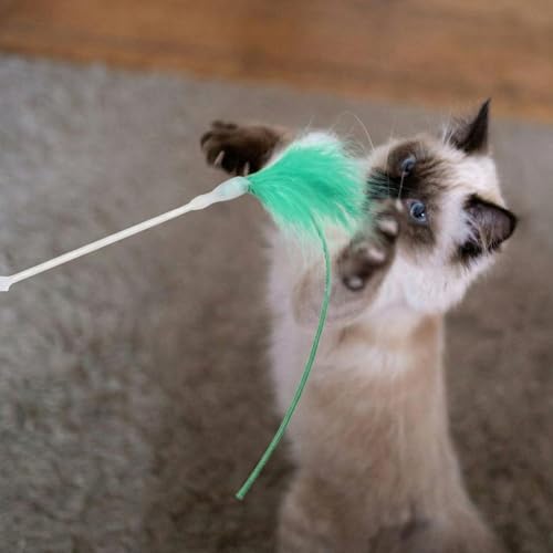 Lewtemi 9 Pcs Cat Toy Replacement Feather Wands Bulk for Hide and Seek Replacement Moving Feather Sticks Refill Cats Interactive Toys Indoor for Indoor Kitten(pc-8)