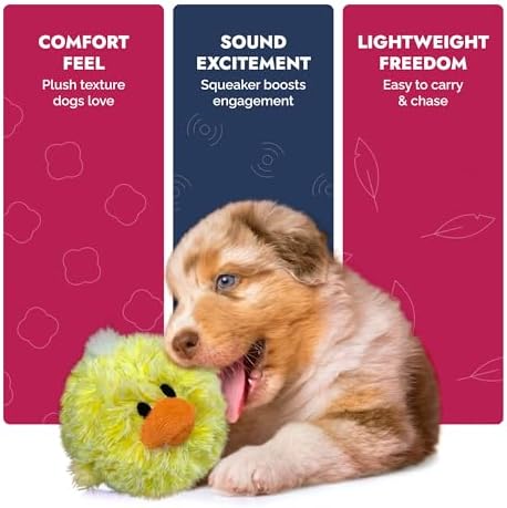 PetLou D.O.G'Z 4-inch EZ Squeaky Chick Dog Plush Toy,Durable Squeaks Bouncy Ball Dog Toy