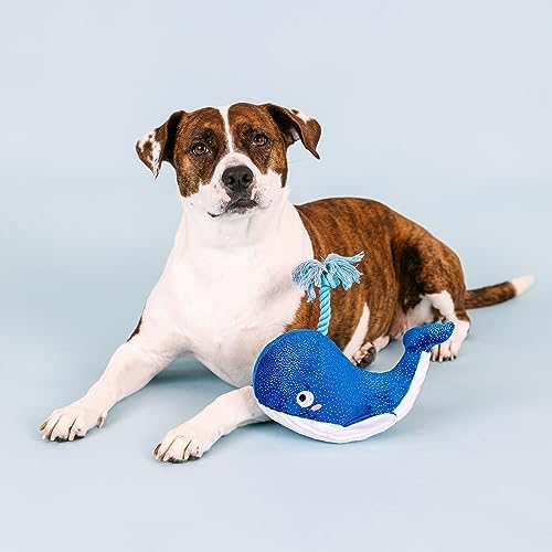 Fringe Studio Plush Dog Toy, Whale, Hello There, Pet Shop Collection (314283)
