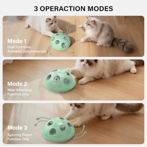 Pawingcat Cat Toys for Bored Indoor Cats Interactive String and Mouse