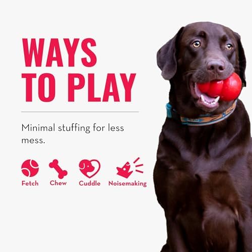 Kong Wild Knots Bear, Knotted Rope Plush Toy, for Medium/Large Dogs