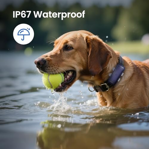 SEEWORLD 4G Pet GPS Tracker for Dogs Cats, Real-Time Location, IP67 Waterproof, Geo-Fence, 180 Days History, Subscription Required