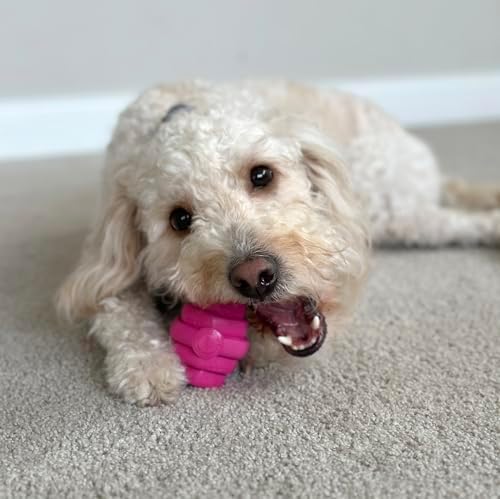 Hive Chew Toy for S/M Dogs – Pink/Wild Berry Scent – Chew, Fetch, & Treat-Dispensing Enrichment Toy, Floats, Made in USA, Pairs with Hive Chew Sticks for S/M Dogs for Longer-Lasting Play