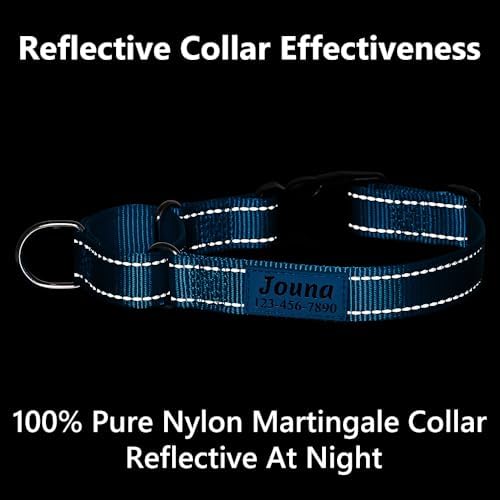 Personalized Martingale Collar for Dogs with Name and Phone Number