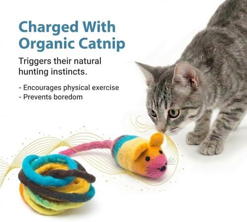 Glaciart One Felt Mouse Cat Toy – Soft Fuzzy Enrichment 100% Natural Wool - Interactive Catnip Play Cat Toy Set - Safe for Pets, Non-AZO Colored Dyes - 100” Long