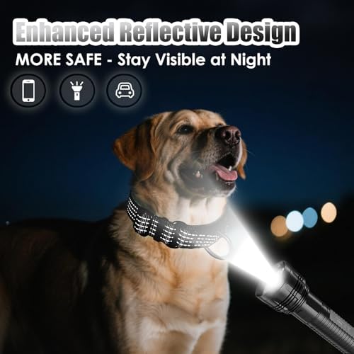Martingale Dog Collar, Reflective No Pull with Buckle, Black, L