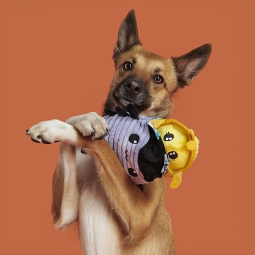 BarkBox Hasina the Hissing Cockroach Dog Toy - for Medium to Large Dogs