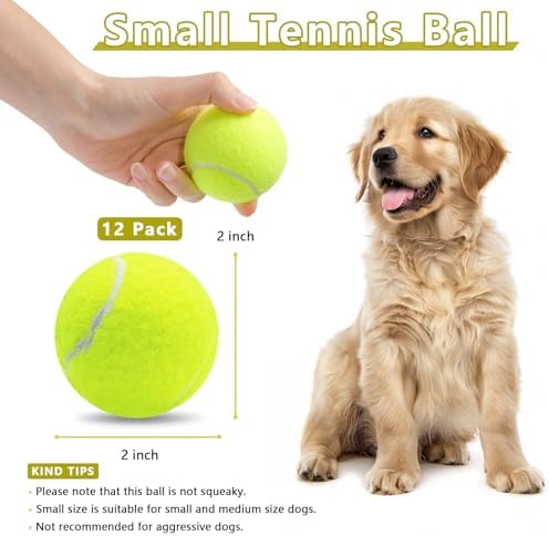 Magicorange Small Tennis Balls, 12 Pack 2 inch Tennis Balls for Dogs