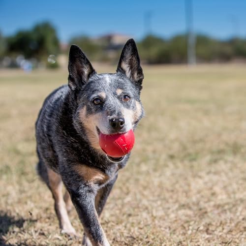KONG Ball with Hole, Natural Rubber Fetch Toy, Red, for Large/Medium Dogs