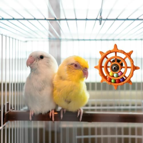AGLOO Rotating Ship Wheel Bird Toys with Colorful Bead (Green)