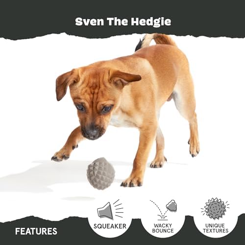 BarkBox Sven the Hedgie Rubber Dog Toy - Toy for Small Dogs
