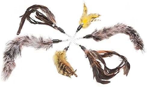 Cat Toys Feather Refill 6 Pack - Add Life to Your Cat's Favorite Toy with This Interchangeable Feather Refill Multipack (As Photographed).