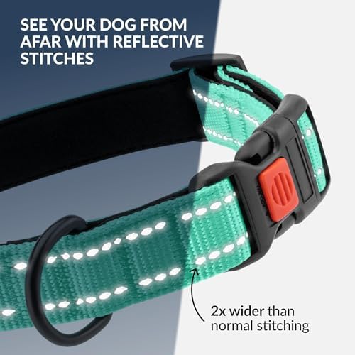 Reflective Dog Collar, Quick-Release Buckle (Mint Green, 18-26 Inch)