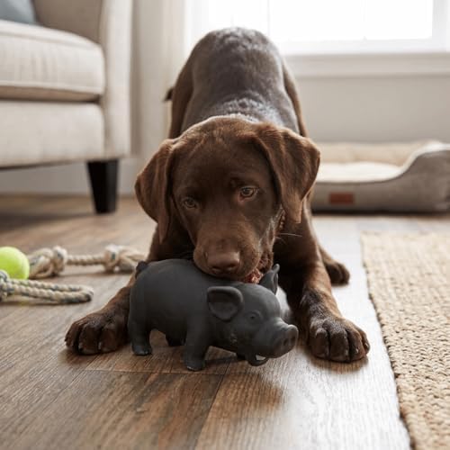 Dog Chew Toy Cute Pig Grunting Squeak Latex Pet Interactive Sound Dog Toy for Puppies for Playtime(Grey)