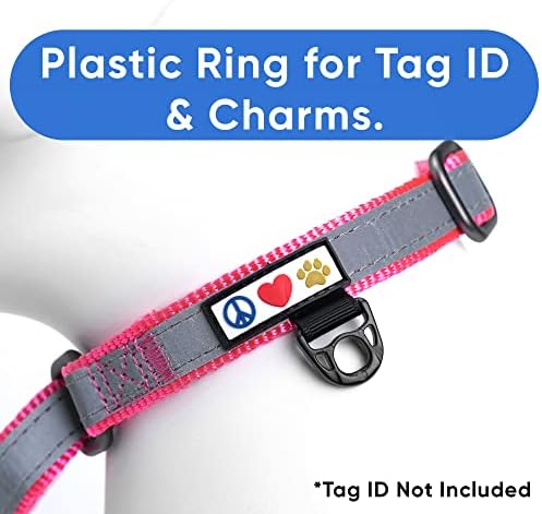 Pawtitas Personalized Dog Collar Martingale Dog Collar with Name Phone Number Reflective Martingale Dog Collar Customized Collar for Medium Dogs | Pink Custom Dog Collars for Medium Dogs