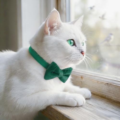 THAIN Personalized Cat Collar with Bell and Bowtie Breakaway QR Code Name Smart ID tag Quick Release Soft Comfortable Collar for Cats and Kittens (Green)