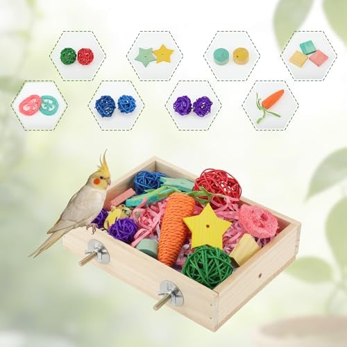 Bird Foraging Toys Box, Wooden Foraging for Birds, Colorful, M