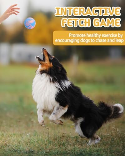 SCHITEC Dog Squeaky Ball Toys, Interactive Tennis Balls for Fetch Play, Latex Rubber Pet Toy for Medium Large Breed Dogs