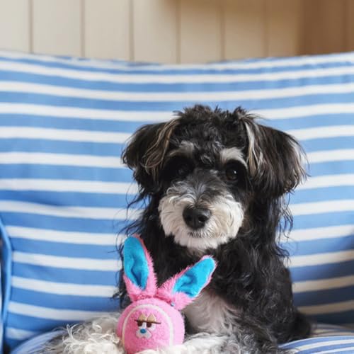 ZEZE Bonnie the Bunny Squeaky Dog Toy, Cute Plush Tennis Ball Dog Toy with Dual Squeaker & Crinkle Sound, Soft Fetch & Chew Toy for Small to Medium Dogs & Puppies, Gift-Ready Designer Pet Toy