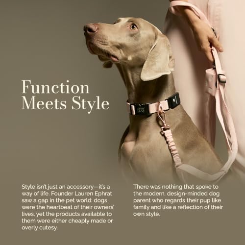 DOGISTRY - Fi Sweetheart Collar - GPS Dog Collar Band - Medium