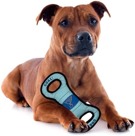 Pets First NHL St. Louis Blues Ice Hockey Rink PET Toy with Inner Squeaker. A Tough Toy for Dogs & Cats with Exciting Hockey Graphics, Gorgeous Team Logo & Double Stitch Trims