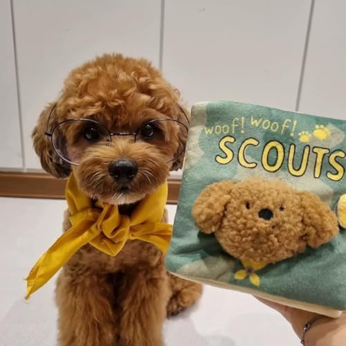 Dog Enrichment Toys, Interactive Sniff Mat Cute Slow Feeder Dog Snuffle Book Interactive Dog Toys Dog Feeding Mat Squeaky Snuffle Mat Puzzle Toys for Pet, Green
