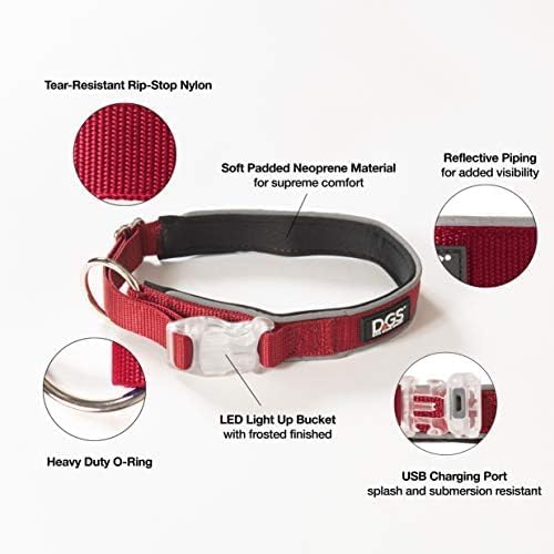 Dog Gone Smart Pet Products Super Bright LED All Day & Night Wear Safety