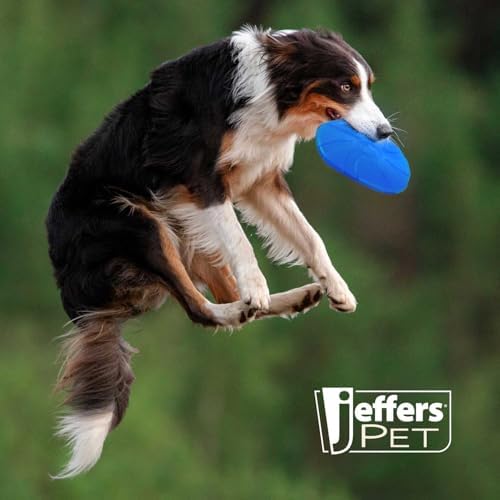 Jeffers Pet Natural Rubber Dog Chew Toy – Blue Bone Stamp Frisbee, Medium – Vanilla Scent, Durable, Non-Toxic, Dishwasher Safe, Interactive Fetch & Tug Toy - Perfect for Training Medium Chewers