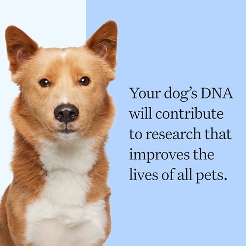 Wisdom Panel Breed Discovery Dog DNA Testing Kit - Most Accurate Dog Breed Identification - Test for 430+ Breeds, MDR1 Health Test, Ancestry, Relatives