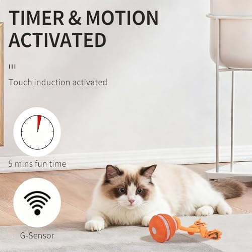 Interactive Dog & Cat Toy, Auto Chirping Ball, Rechargeable Self Play