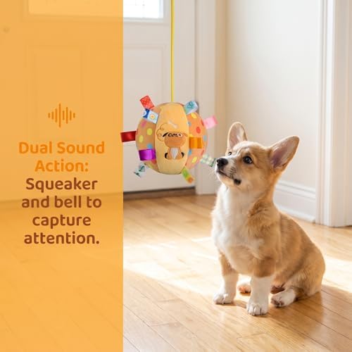 Colorful Squeaky Hanging Dog Training Toy, 6-Inch Squeaky Hanging Dog Toy, Soft Stuffed Ball with Cotton Material, Built-in Bell, Interactive Tug Chew Toy for Small Medium Dogs Indoor Play Fun (#A)