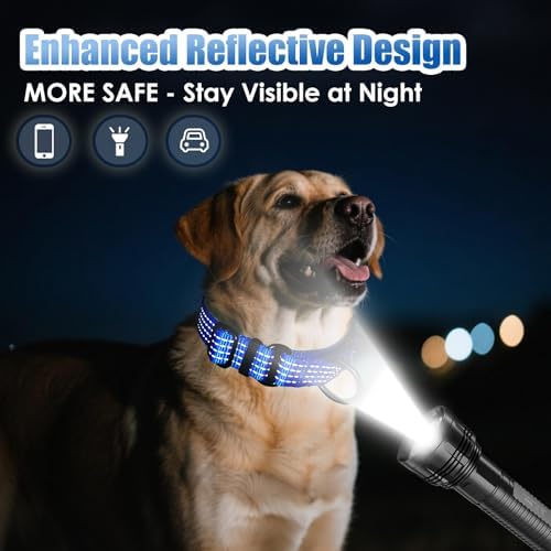 Martingale Dog Collar, Reflective No Pull with Buckle, Blue, L