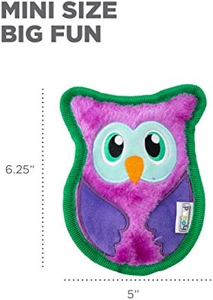 Outward Hound Invincibles Mini Plush Dog Toy 2-Pack, Owl and Hedgehog, XS