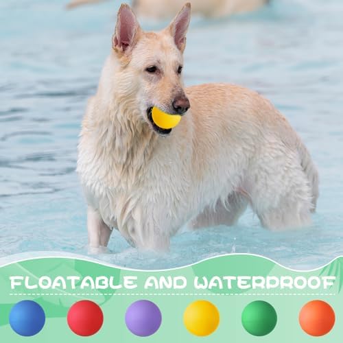 Hiboom 15 Pack Natural Rubber Dog Tennis Balls for Fetch, Purple