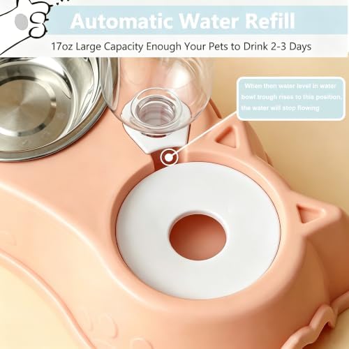 Cat Bowls Food and Water Bowl Set with Automatic Water Dispenser