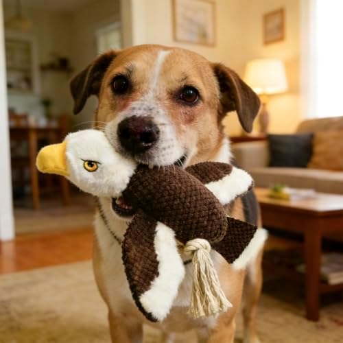 Dog Squeaky Toy Plush Bald Eagle Dog Chew Toy with Knotted Rope Tassels, Teething Interactive Tug Toy for Puppies & All Dog Breeds