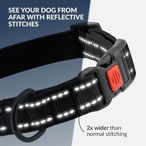 Reflective Dog Collar, Quick-Release Buckle (Black, 12-16 Inch)
