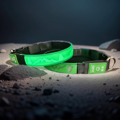 Customlized Name Flashing USB-C led Light up Dog Collar with airtag Holder, Subversive 3D Design Comfortable and Soft Material,Multicolored Lighting (Green, M(11.8-15.7"))