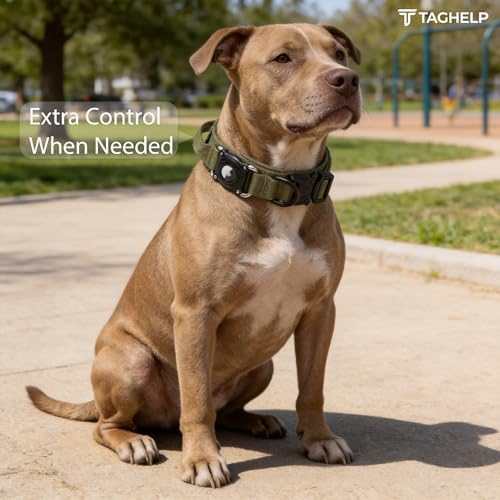 Waterproof AirTag Dog Collar with QR Code ID Tag, Tactical Military Dog Collar with Built-in AirTag Holder, Heavy Duty Metal Buckle & Control Handle, GPS Tracker Collar for Large Dogs (Green, XL)