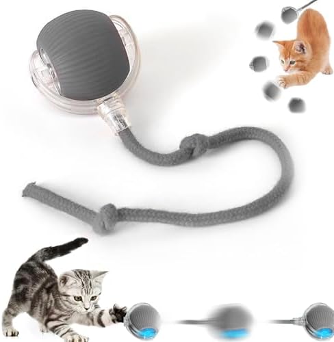 360° Interactive Dog Cat Toys Balls(Grey, one Size)