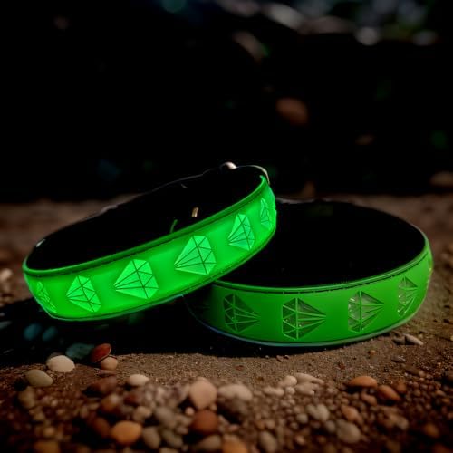 Light Up Glow Dog Collar with AirTag Holder, 15 Color Modes,