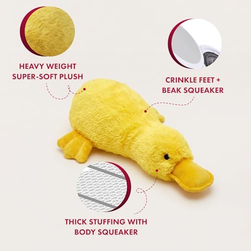 PetLou Colossal Durable Squeak 15-inch Promo Platypus Dog Toys -Durable Fabric -Tough and Reliable for Aggressive Chewers