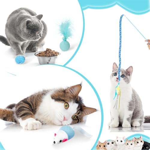 Foilswirl 24 Pcs Cat Toys Set Interactive Kitten Toys Pack, Blue