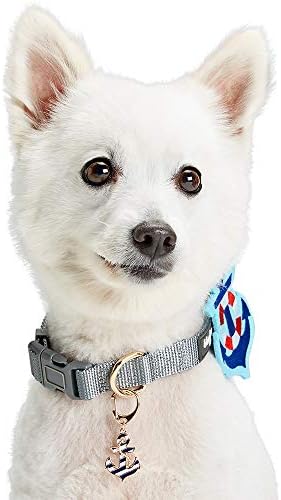 Blueberry Pet Bon Voyage Anchor Design Accessory Set of Collar Slide Hair Clip and Pedant for Dogs & Cats